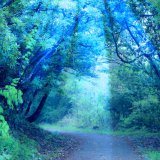 ドラクエ世界の神秘的な森